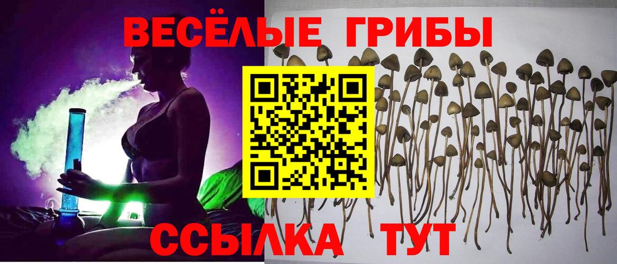 A-PVP СОЛЬ   Канабис  Вход с VPN  Ржев  Конопля  COCAIN  Мефедрон кристаллы  Лсд 25 